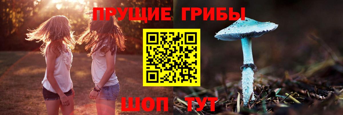 Кингисепп  Псилоцибиновые грибы MAGIC MUSHROOMS  Вход с VPN 